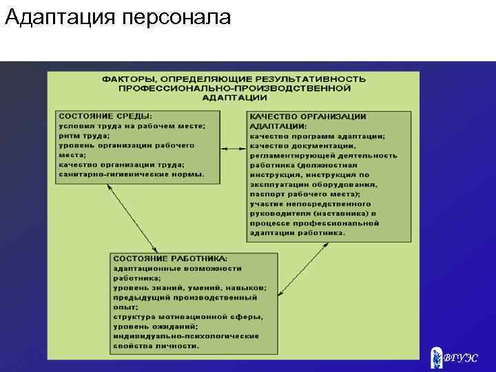 Адаптация персонала 