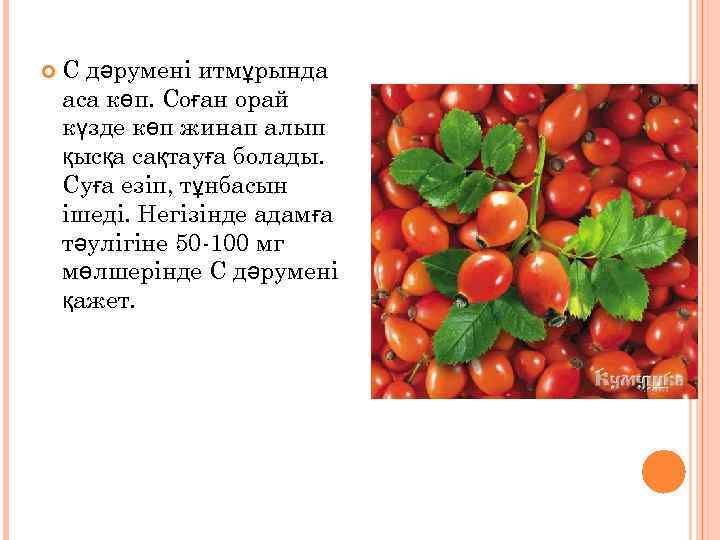  С дәрумені итмұрында аса көп. Соған орай күзде көп жинап алып қысқа сақтауға