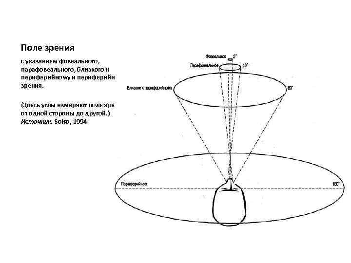 Поле зрения с указанием фовеального, парафовеального, близкого к периферийному и периферийного зрения. (Здесь углы