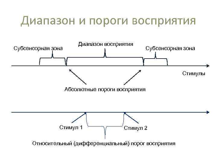 Диапазон и пороги восприятия Субсенсорная зона Диапазон восприятия Субсенсорная зона Стимулы Абсолютные пороги восприятия