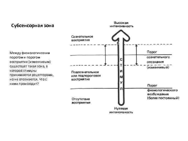 Субсенсорная зона Между физиологическим порогом и порогом восприятия (изменчивым) существует такая зона, в которой