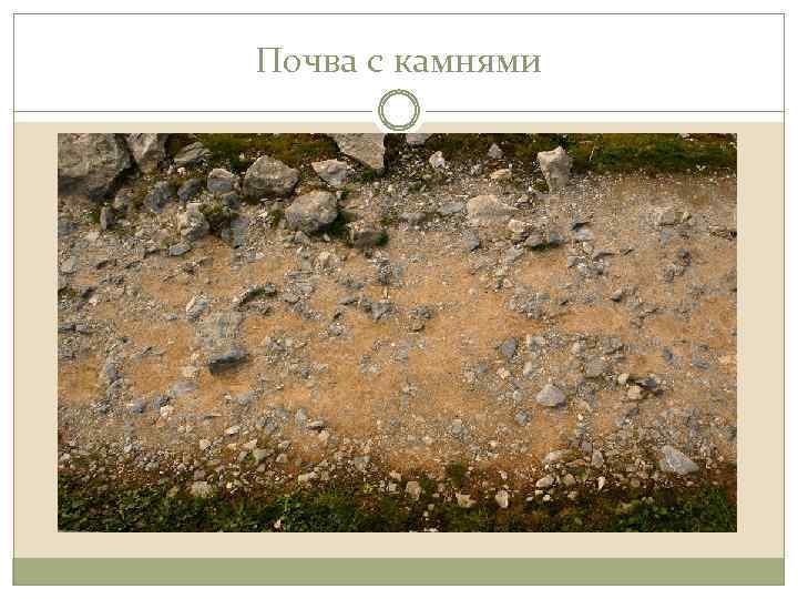 Почва с камнями 