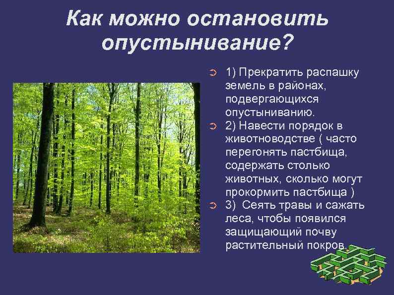 Прочитайте параграф 30 не станет ли земля пустыней и составьте план