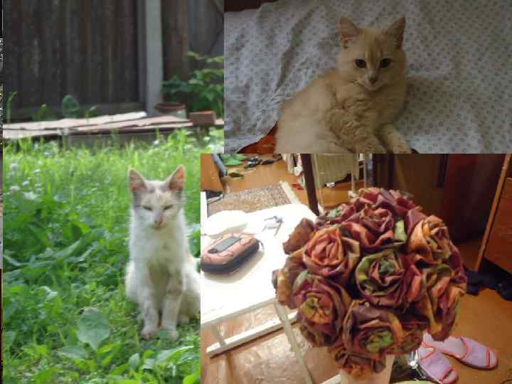 Захоплююсь музикою, кінематографом і анімацією (особливо Marvel і аніме), волейболом, малюванням, фотографуванням, написанням коротких