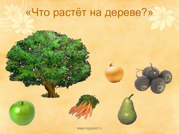 «Что растёт на дереве? » www. logoped. ru 