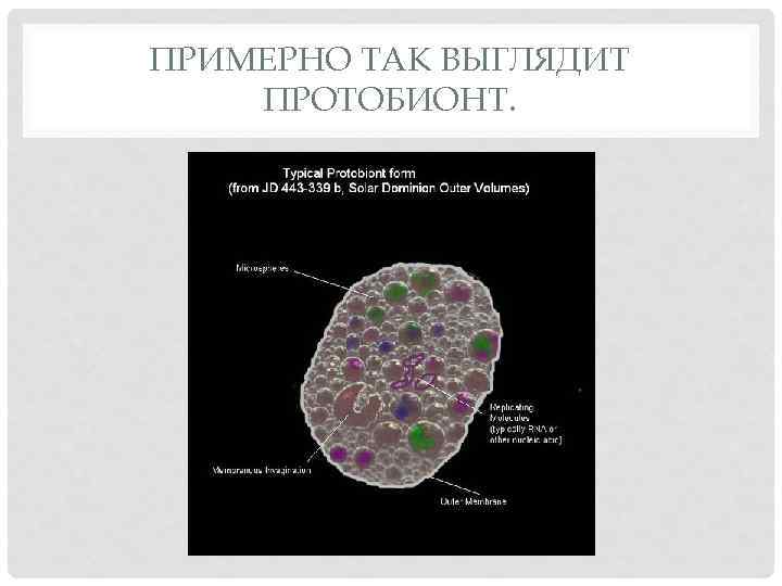 ПРИМЕРНО ТАК ВЫГЛЯДИТ ПРОТОБИОНТ. 