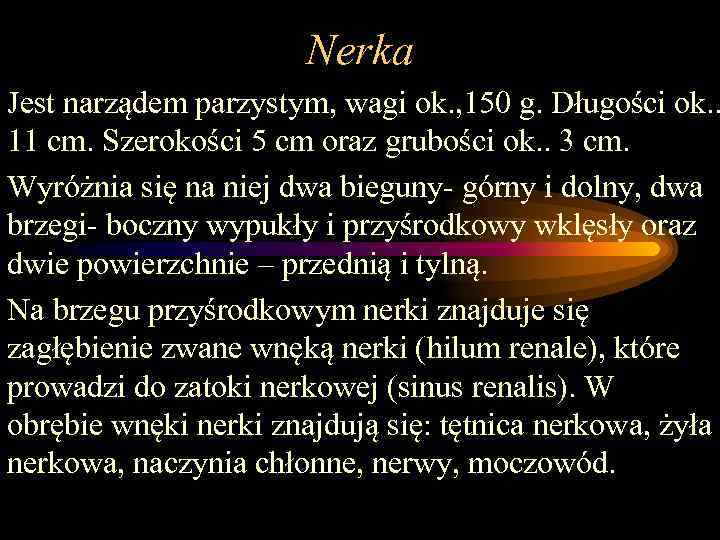 Nerka Jest narządem parzystym, wagi ok. , 150 g. Długości ok. . 11 cm.