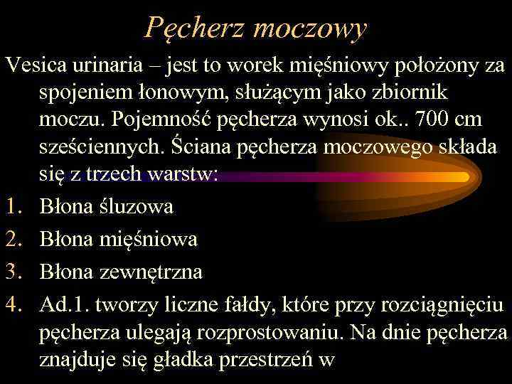 Pęcherz moczowy Vesica urinaria – jest to worek mięśniowy położony za spojeniem łonowym, służącym