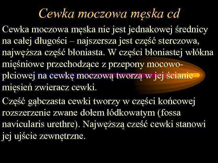 Cewka moczowa męska cd Cewka moczowa męska nie jest jednakowej średnicy na całej długości