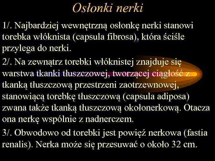 Osłonki nerki 1/. Najbardziej wewnętrzną osłonkę nerki stanowi torebka włóknista (capsula fibrosa), która ściśle