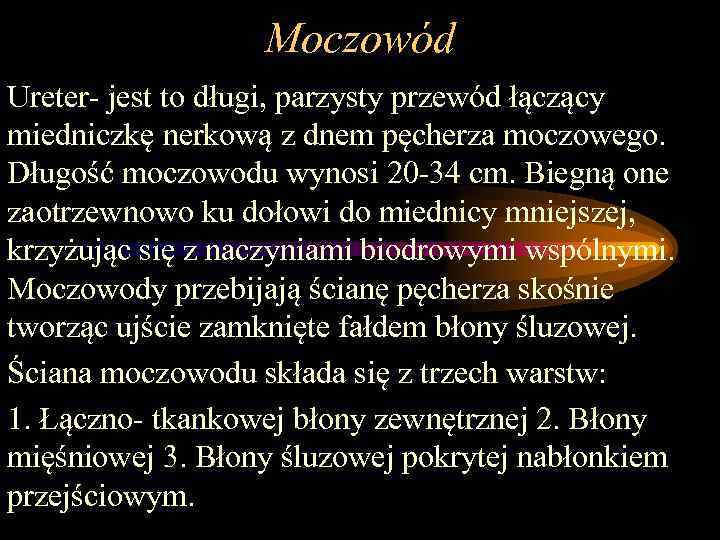 Moczowód Ureter- jest to długi, parzysty przewód łączący miedniczkę nerkową z dnem pęcherza moczowego.