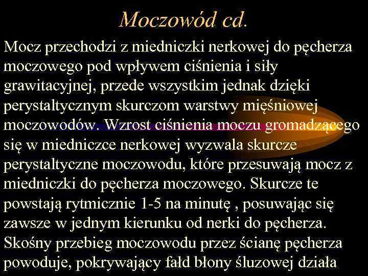 Moczowód cd. Mocz przechodzi z miedniczki nerkowej do pęcherza moczowego pod wpływem ciśnienia i