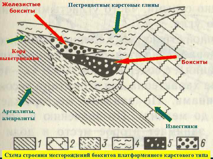 Железистые бокситы Кора выветривания Пестроцветные карстовые глины Бокситы Аргиллиты, алевролиты Известняки Схема строения месторождений