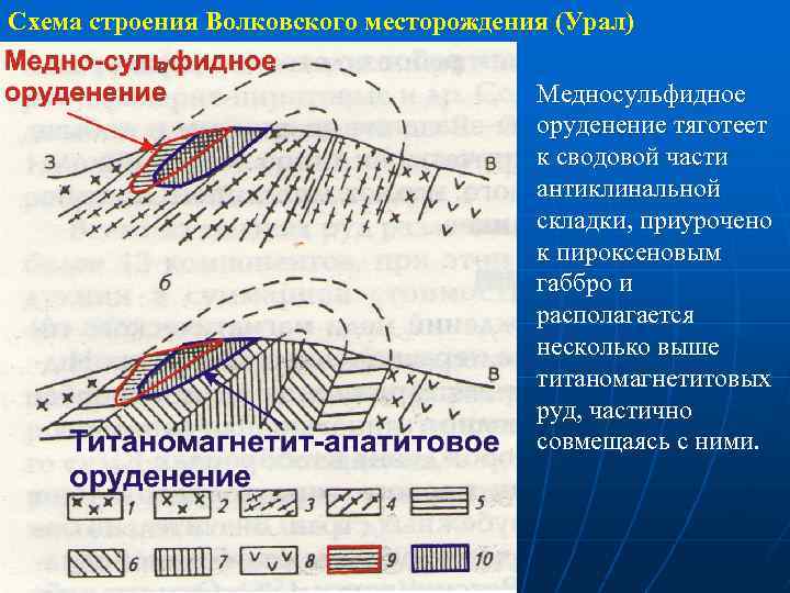 Схема строения Волковского месторождения (Урал) Медносульфидное оруденение тяготеет к сводовой части антиклинальной складки, приурочено