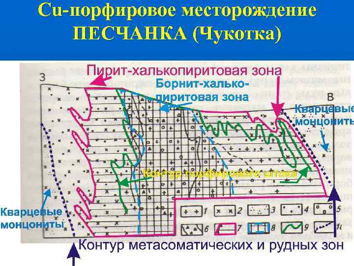 Чукотка песчанка карта