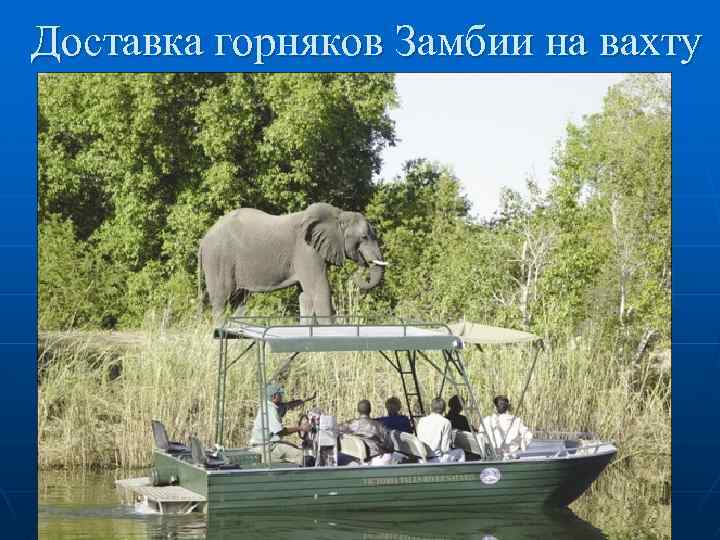 Доставка горняков Замбии на вахту 