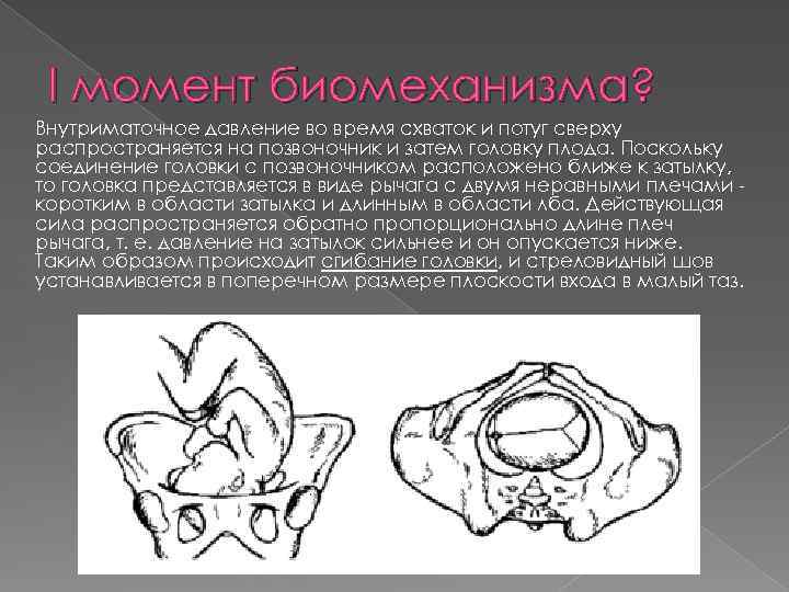 I момент биомеханизма? Внутриматочное давление во время схваток и потуг сверху распространяется на позвоночник