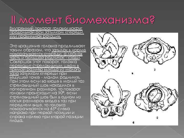 II момент биомеханизма? Внутренний поворот головки вокруг продольной оси затылком кпереди, или правильная ротация.