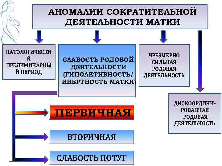 АНОМАЛИИ СОКРАТИТЕЛЬНОЙ ДЕЯТЕЛЬНОСТИ МАТКИ ПАТОЛОГИЧЕСКИ Й ПРЕЛИМИНАРНЫ Й ПЕРИОД СЛАБОСТЬ РОДОВОЙ ДЕЯТЕЛЬНОСТИ (ГИПОАКТИВНОСТЬ/ ИНЕРТНОСТЬ