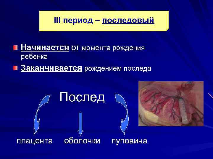 III период – последовый Начинается от момента рождения ребенка Заканчивается рождением последа Послед плацента