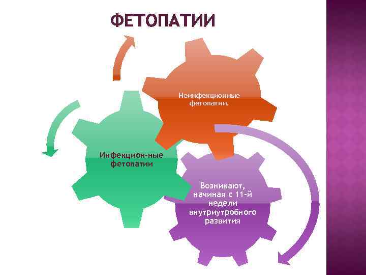 ФЕТОПАТИИ Неинфекционные фетопатии. Инфекцион-ные фетопатии Возникают, начиная с 11 -й недели внутриутробного развития 