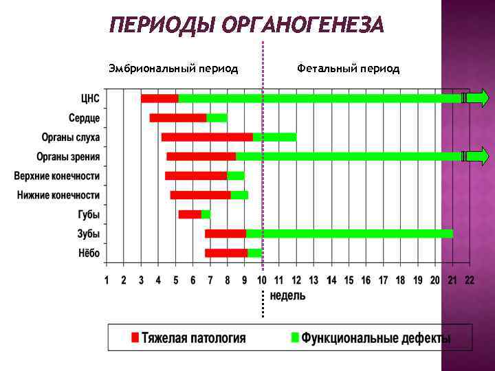 Презентация влияние вредных факторов на плод