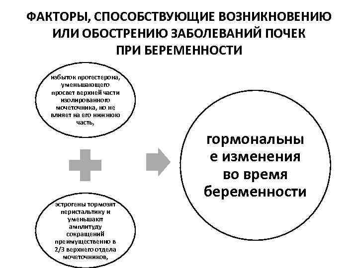 Заболевания почек и беременность презентация