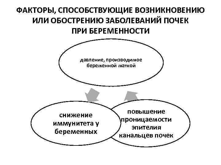 ФАКТОРЫ, СПОСОБСТВУЮЩИЕ ВОЗНИКНОВЕНИЮ ИЛИ ОБОСТРЕНИЮ ЗАБОЛЕВАНИЙ ПОЧЕК ПРИ БЕРЕМЕННОСТИ давление, производимое беременной маткой снижение