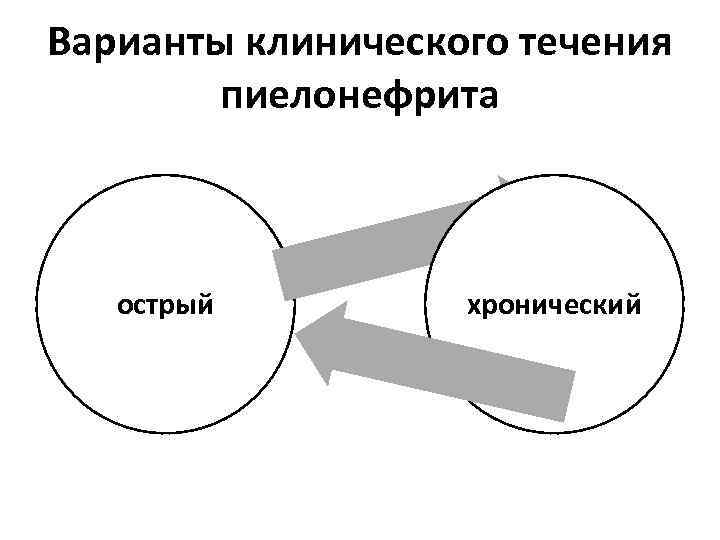 Варианты клинического течения пиелонефрита острый хронический 