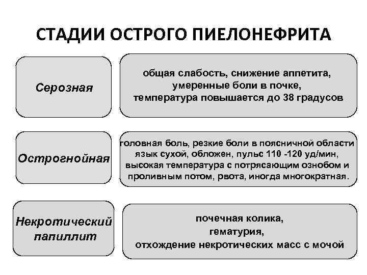 СТАДИИ ОСТРОГО ПИЕЛОНЕФРИТА Серозная общая слабость, снижение аппетита, умеренные боли в почке, температура повышается