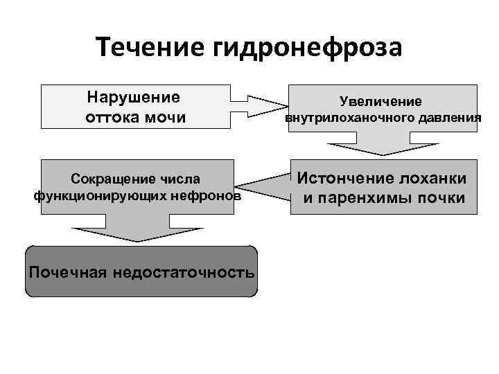 Течение гидронефроза Нарушение оттока мочи внутрилоханочного давления Сокращение числа функционирующих нефронов Истончение лоханки и