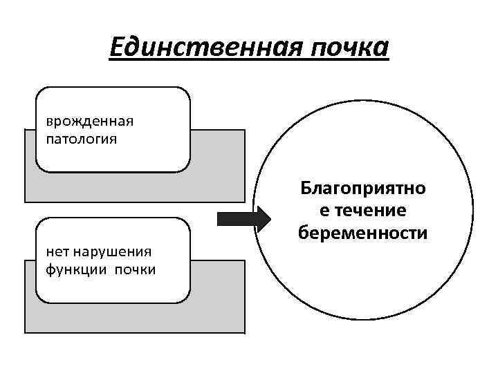 Единственная почка врожденная патология нет нарушения функции почки Благоприятно е течение беременности 