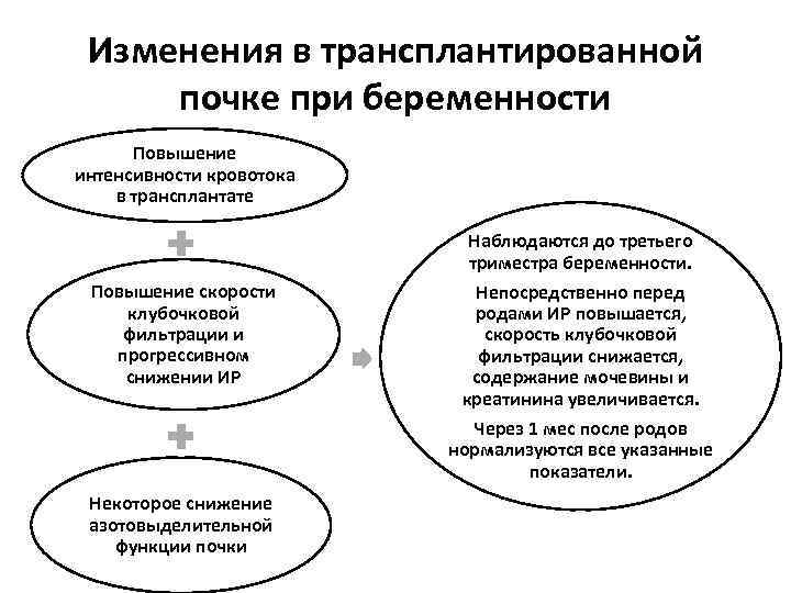 Изменения в трансплантированной почке при беременности Повышение интенсивности кровотока в трансплантате Повышение скорости клубочковой