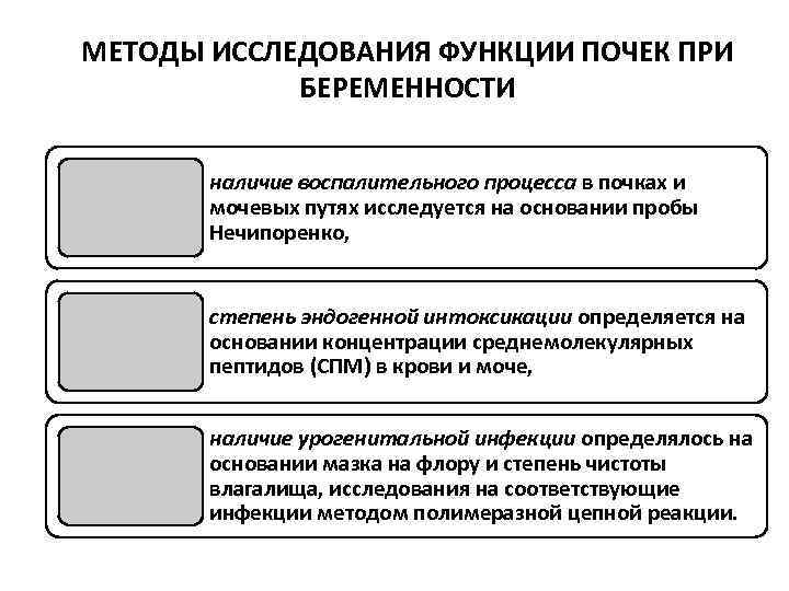 Заболевания мочевыделительной системы и беременность презентация