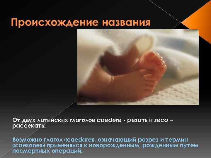 Происхождение названия От двух латинских глаголов caedere резать и seco – рассекать. Возможно глагол