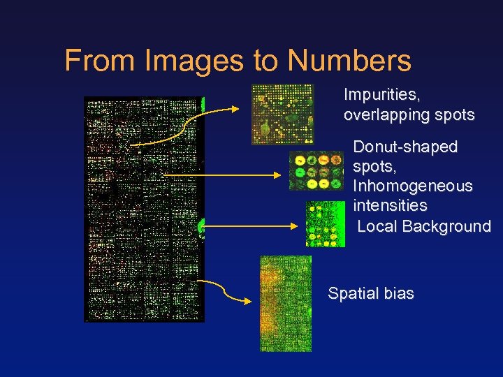 From Images to Numbers Impurities, overlapping spots Donut-shaped spots, Inhomogeneous intensities Local Background Spatial