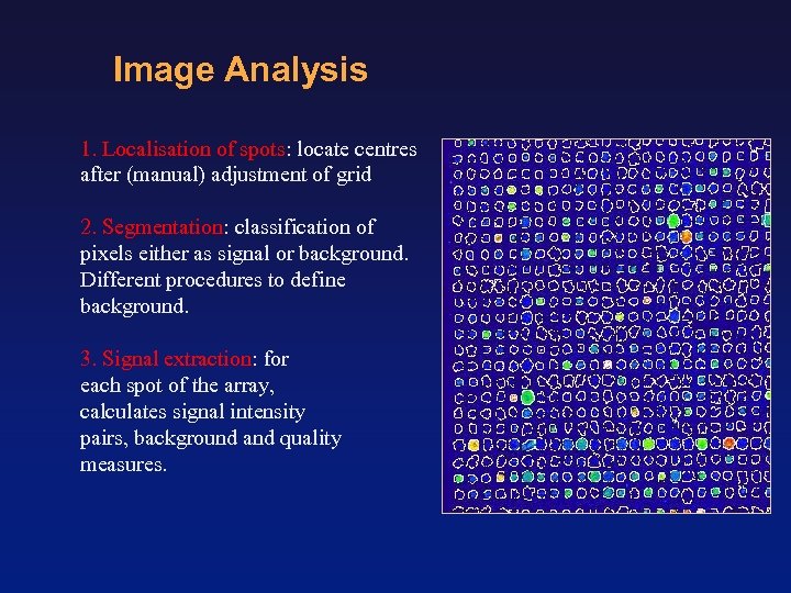Image Analysis 1. Localisation of spots: locate centres after (manual) adjustment of grid 2.