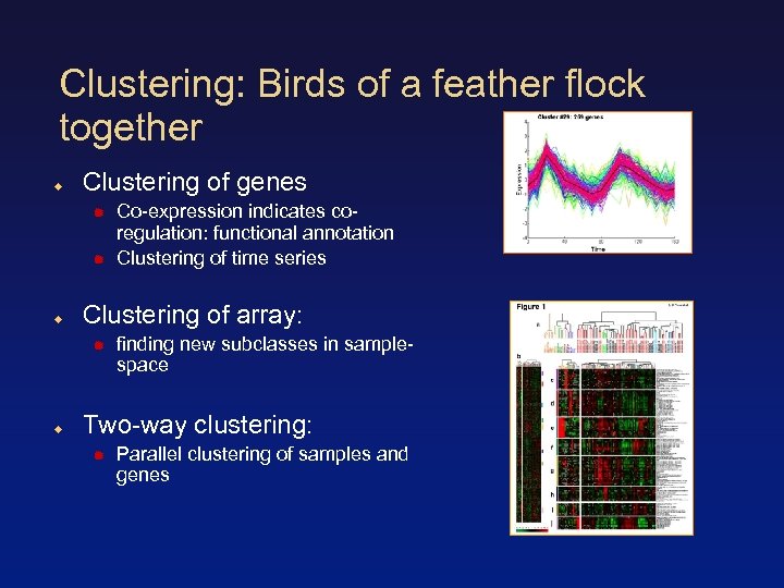 Clustering: Birds of a feather flock together Clustering of genes Clustering of array: Co-expression