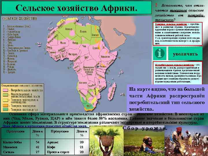 Африка характеристика по плану 11 класс