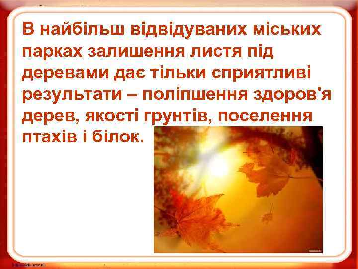 В найбільш відвідуваних міських парках залишення листя під деревами дає тільки сприятливі результати –