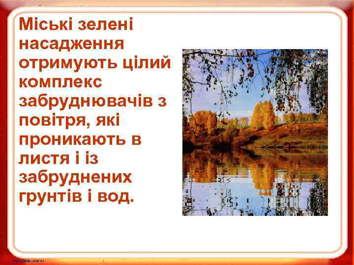 Міські зелені насадження отримують цілий комплекс забруднювачів з повітря, які проникають в листя і