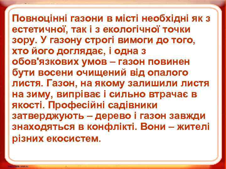 Повноцінні газони в місті необхідні як з естетичної, так і з екологічної точки зору.