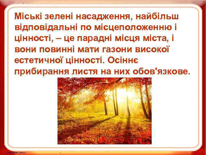 Міські зелені насадження, найбільш відповідальні по місцеположенню і цінності, – це парадні місця міста,