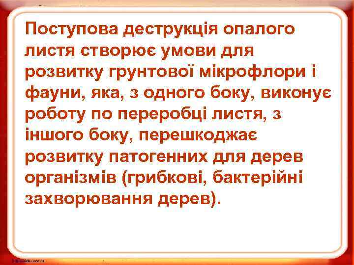 Поступова деструкція опалого листя створює умови для розвитку грунтової мікрофлори і фауни, яка, з