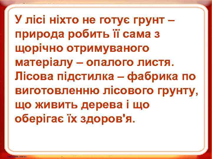 У лісі ніхто не готує грунт – природа робить її сама з щорічно отримуваного