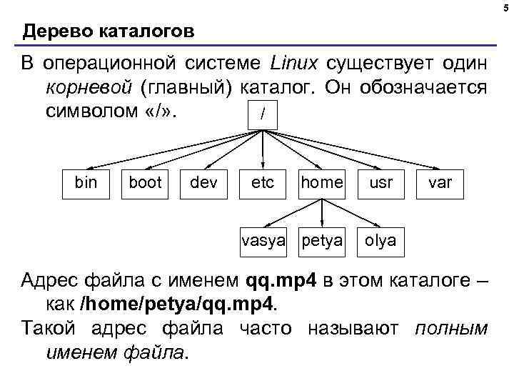 5 Дерево каталогов В операционной системе Linux существует один корневой (главный) каталог. Он обозначается