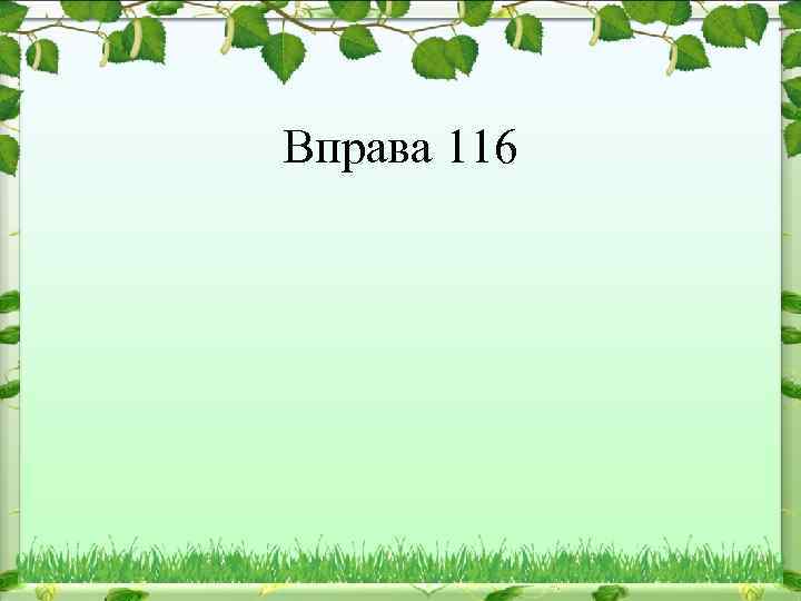 Вправа 116 