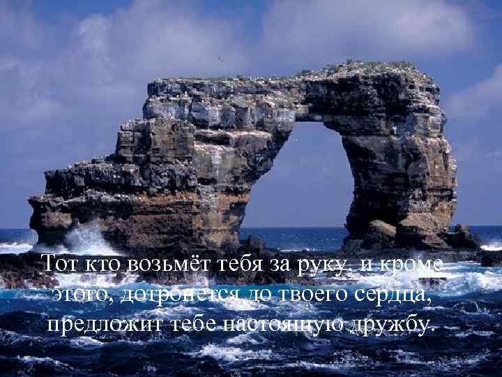 Тот кто возьмёт тебя за руку, и кроме этого, дотронется до твоего сердца, предложит