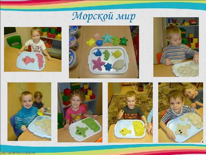 Морской мир 