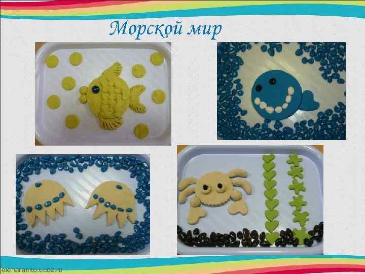 Морской мир 